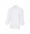 Chaqueta 405208S con elástico de manga larga con botones automáticos. Velilla