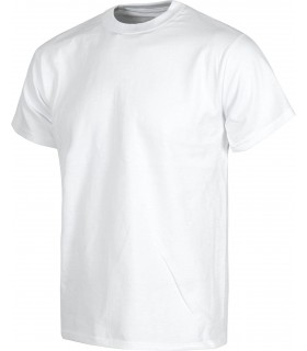 Camiseta S6600 Manga corta. Workteam