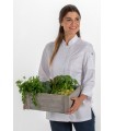 Casaca de hostelería para cocinera 8593579 Microfibra. Dyneke