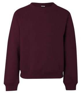 Sudadera de cuello redondo para niño Avalon Kids. MUKUA9