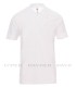 Polo algodón manga corta Rome Payper 2