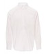 Camisa Elegance Payper