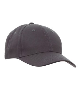 Gorra Illinois Payper 1