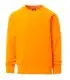 Sudadera Mistral Payper 2