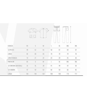 Conjunto sanitario de Casaca + Pantalón microfibra B9130. Workteam23
