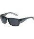 Gafa de seguridad montura completa y lente gris antivaho 250-89-0021-EN Pack 6 und. Bouton