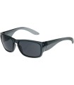 Gafa de seguridad montura completa y lente gris antivaho 250-89-0021-EN Pack 6 und. Bouton