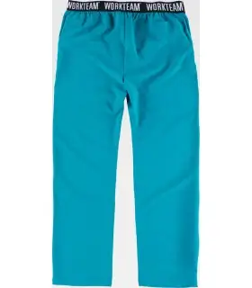 Pantalón elástico con bolsillo en pierna B6910. Workteam2