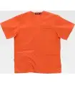Casaca sanitaria unisex B9200. Workteam13