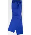 Pantalón sanitario unisex B9300. Workteam2