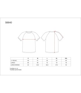 Camiseta técnica combinada S6640. Workteam5