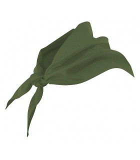 Pañuelo 404003 triangular. Atar al cuello. 5 Velilla