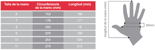Longitud medidas guantes